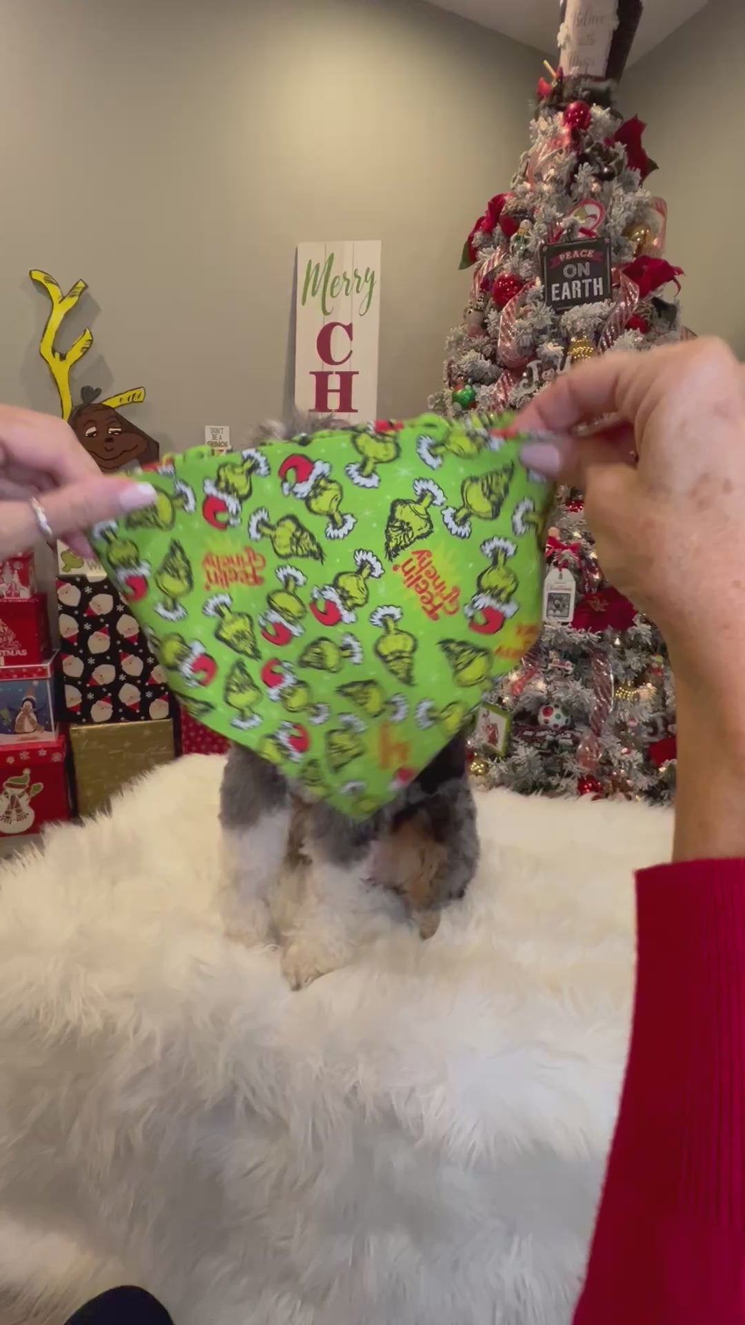 Christmas The Grinch Dog Bandana: Scrunchie,  Feelin' Grinchy, Green, Holiday
