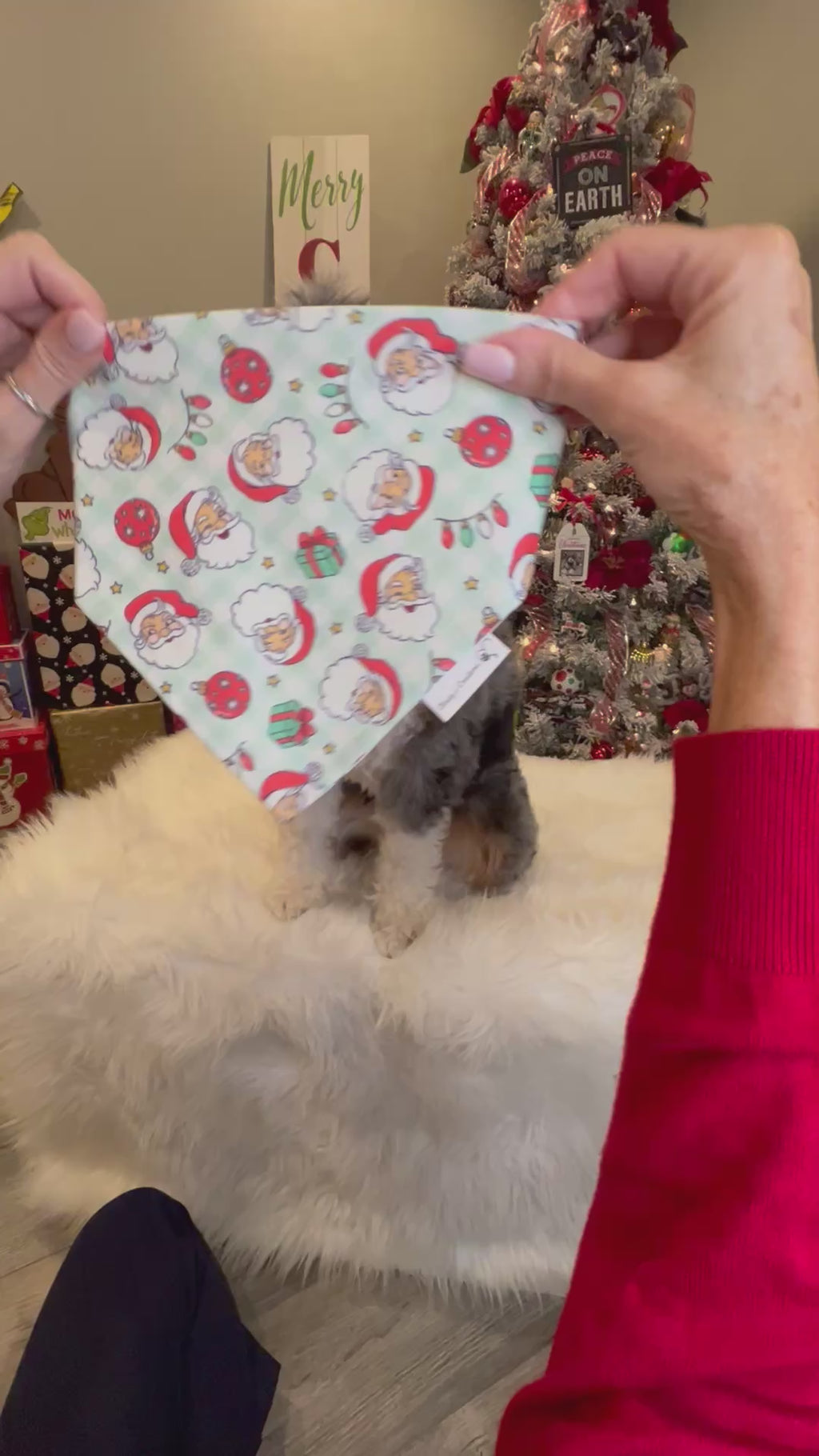 Christmas Santa Claus Dog Bandana: Scrunchie - Holiday