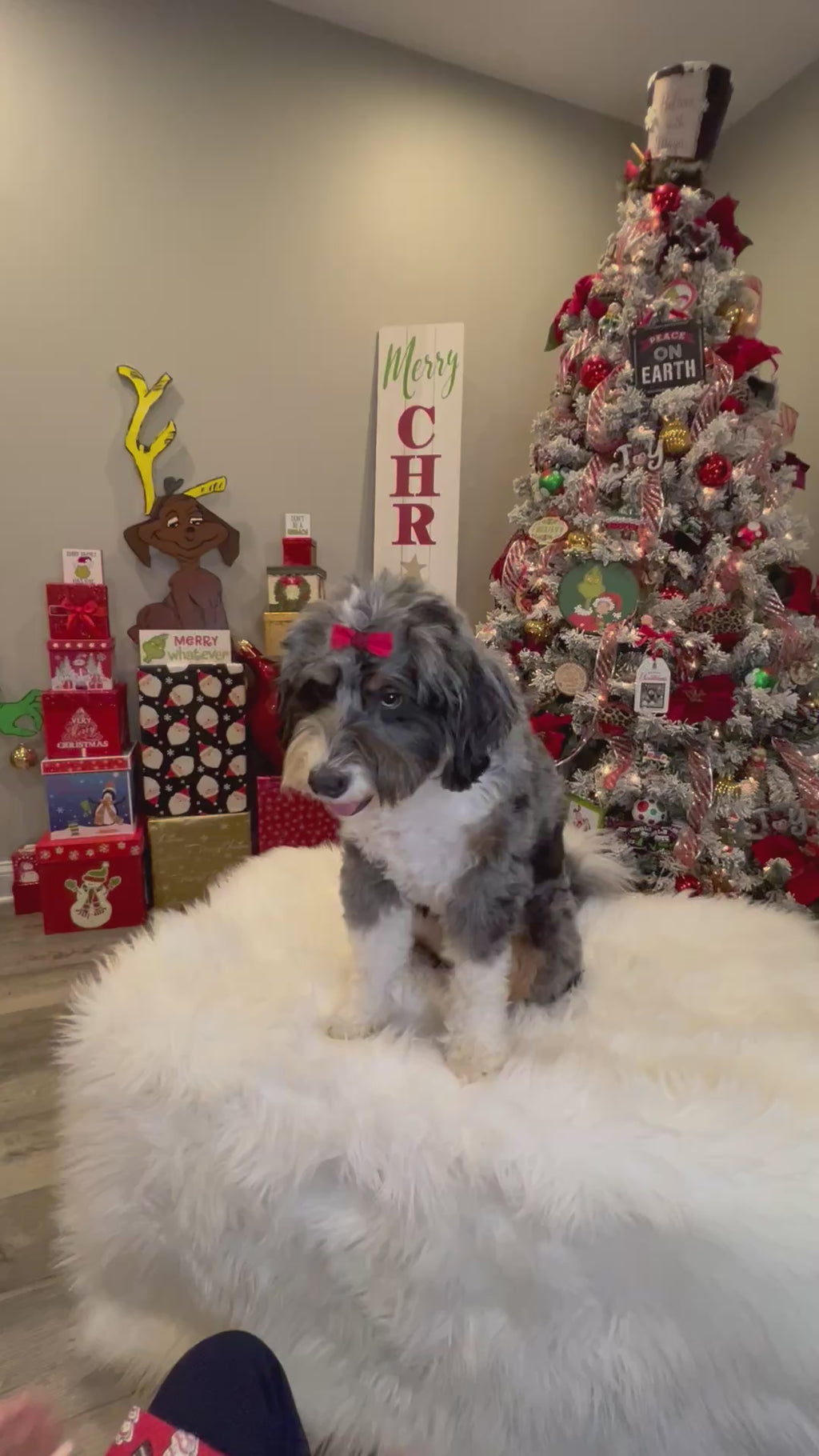 Christmas Tree Cakes Dog Bandana: Scrunchie Red