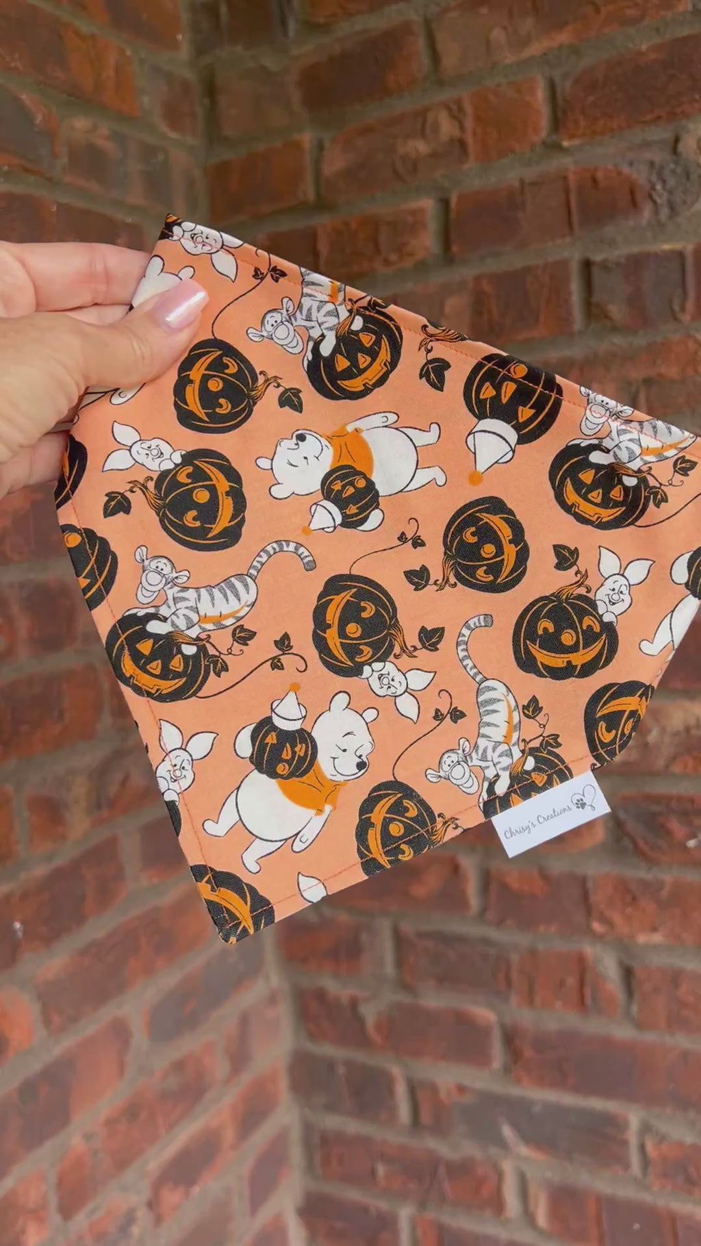 Halloween Pooh and Friends Dog Bandana: Scrunchie, Orange, pumpkins, spooky